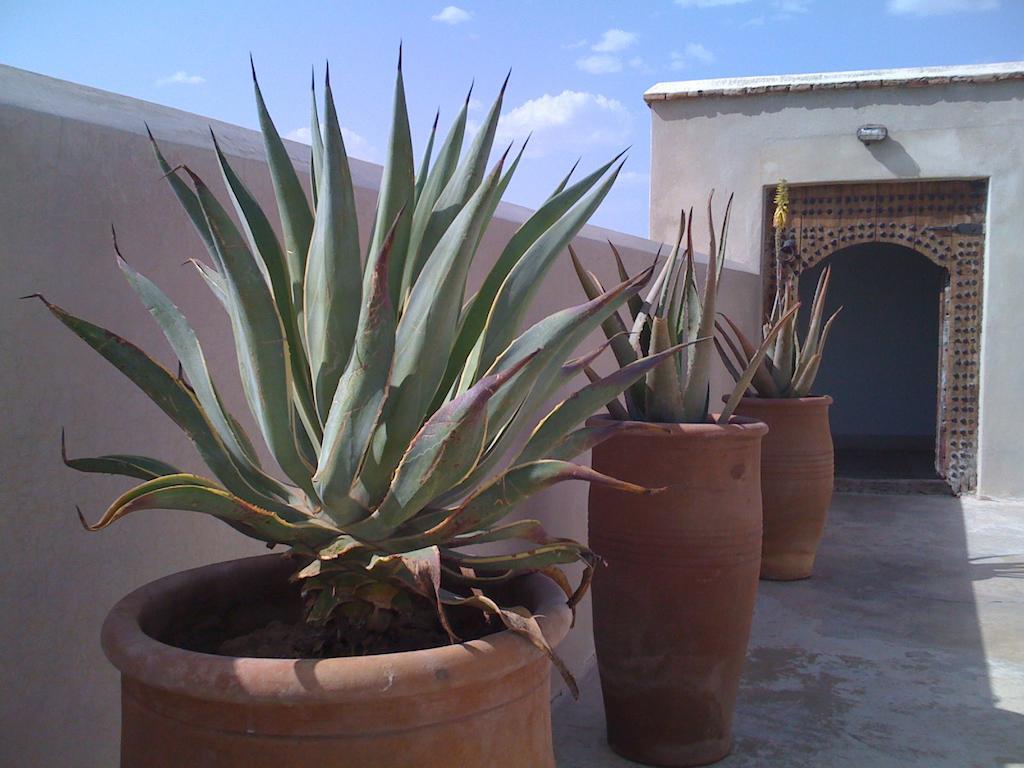 Riad Due Марракеш Экстерьер фото
